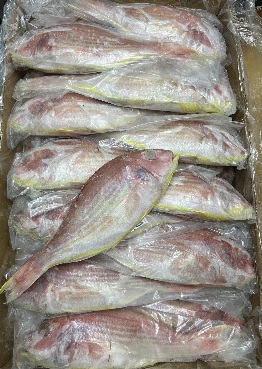 Fresh prawns at Veraval market